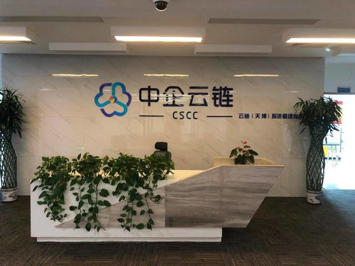 中企云鏈 安心扎根，舒心發展，創新金融科技服務與信息技術咨詢
